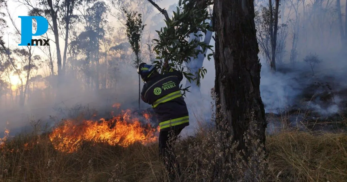 El Gobierno de Puebla reforzará sanciones contra quienes provoquen incendios