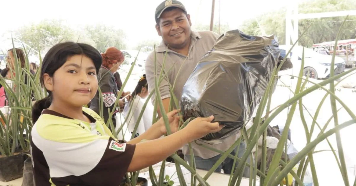 Gobierno de Tehuacán intercambia plantas nativas por PET con el programa "Un Amor que Florece"