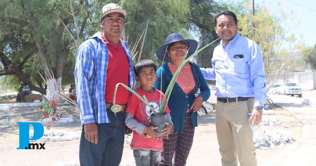 Gobierno de Tehuacán intercambia plantas nativas por PET con el programa "Un Amor que Florece"