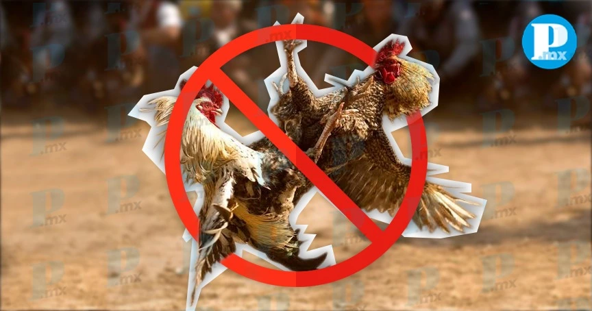 Cancelan peleas de gallos en el palenque de la Feria de Puebla 2025