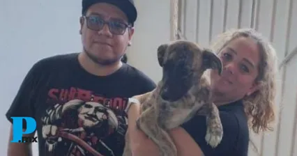 Lomitos de Tehuacán encuentran hogar gracias a la campaña "Un amigo para siempre"