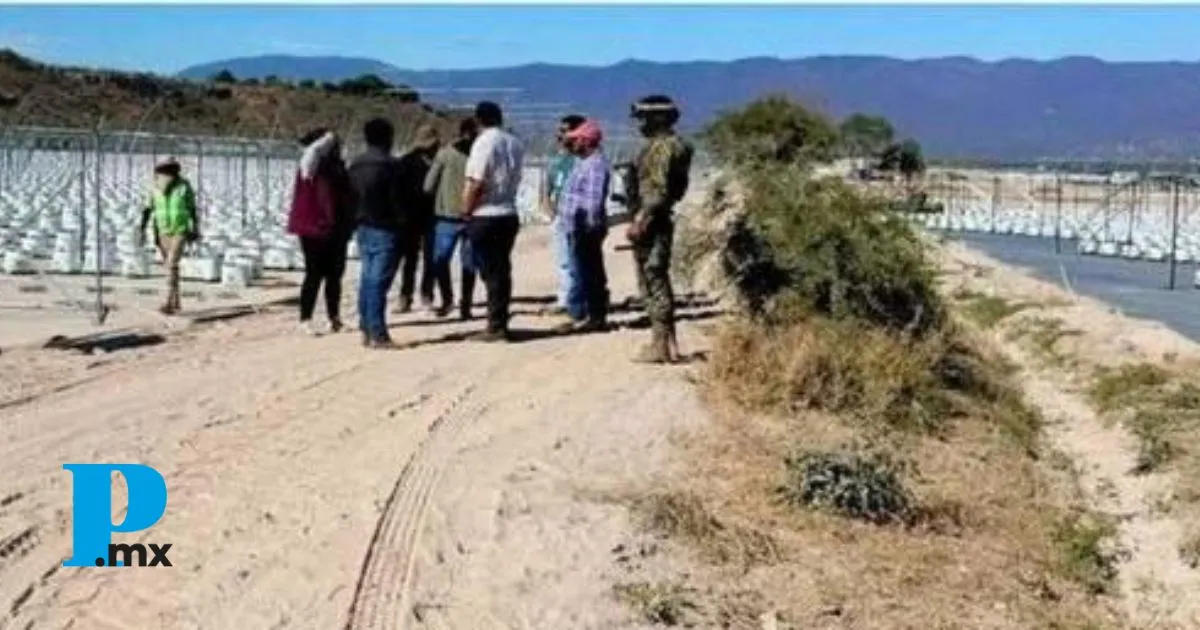 Inicia Dirección de Desarrollo Urbano de Tehuacán 