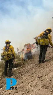 Continúan combatiendo los incendios forestales en Puebla