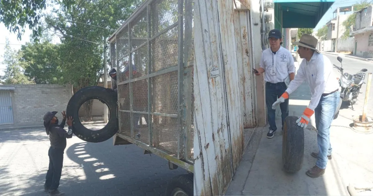 Ayuntamiento de Tehuacán refuerza acciones contra el dengue y chikungunya