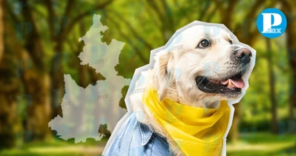 Puebla tiene su primera Secretaría “petfriendly”, ¿Sabes cuál es?