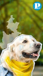 Puebla tiene su primera Secretaría “petfriendly”, ¿Sabes cuál es?