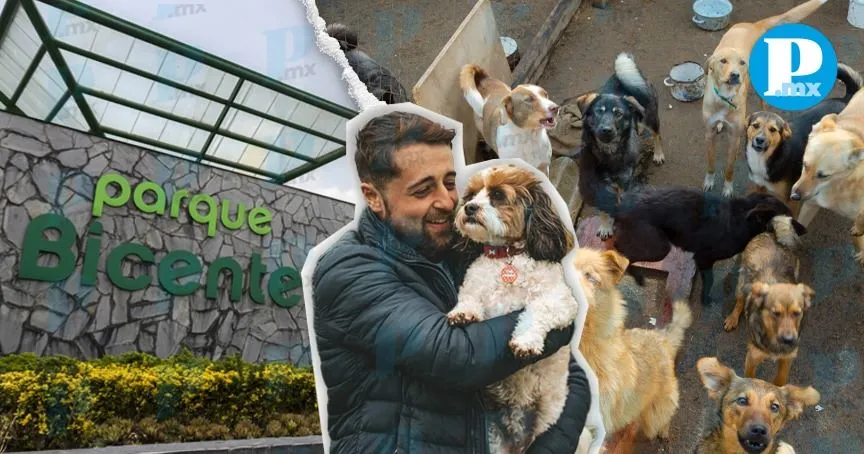 Nuevo refugio albergará hasta mil 500 animales en el Parque Bicentenario