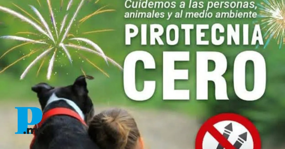 Tehuacán refuerza operativos contra el uso de pirotecnia en el Día de la Santa Cruz