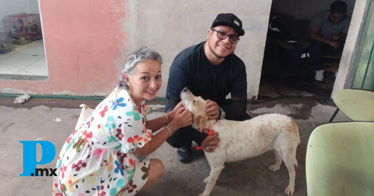 Gobierno de Tehuacán transforma vidas con la campaña de adopción “Un amigo para siempre”: