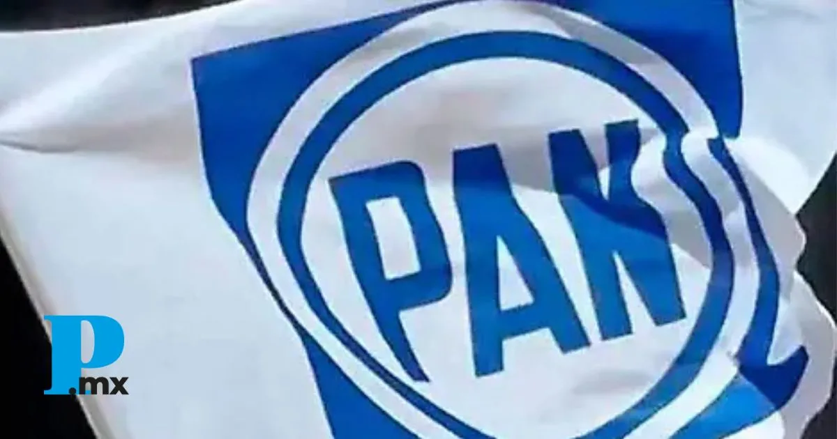 Dos candidatos compiten por la Secretaría de Acción Juvenil del PAN Puebla