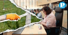 Congreso de Puebla autoriza calar árboles de forma regulada