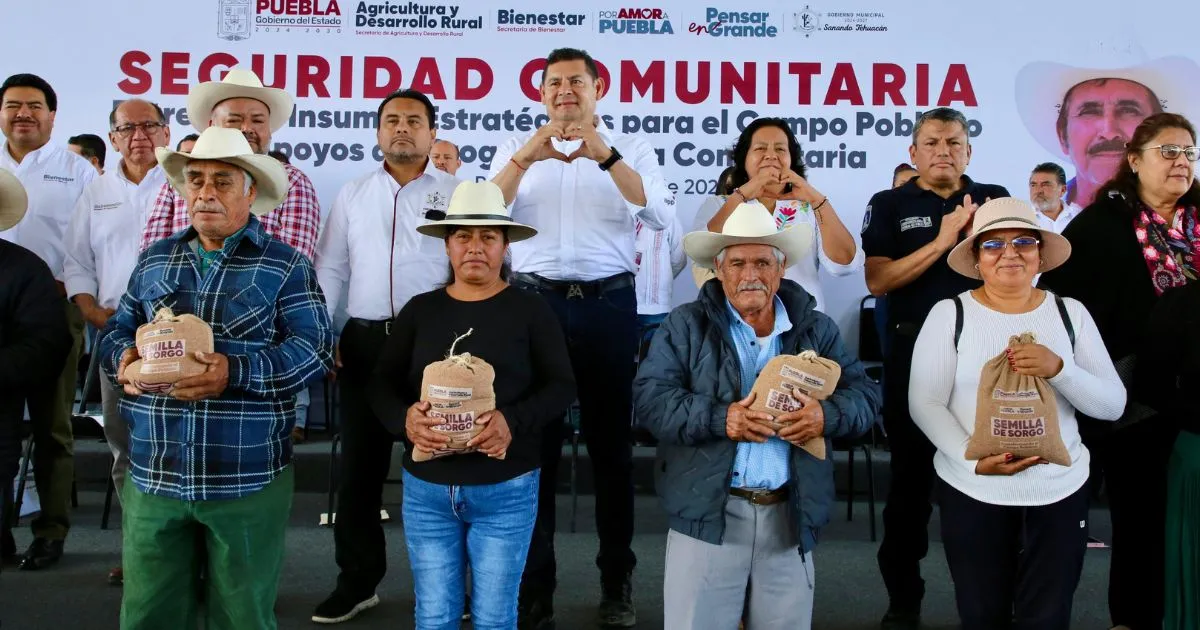 Entrega de fertilizante, semilla y sorgo a más de dos mil productores