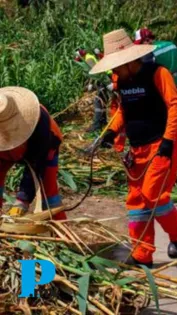 El Gobierno de la Ciudad de Puebla refuerza acciones preventivas y correctivas ante la temporada de lluvias