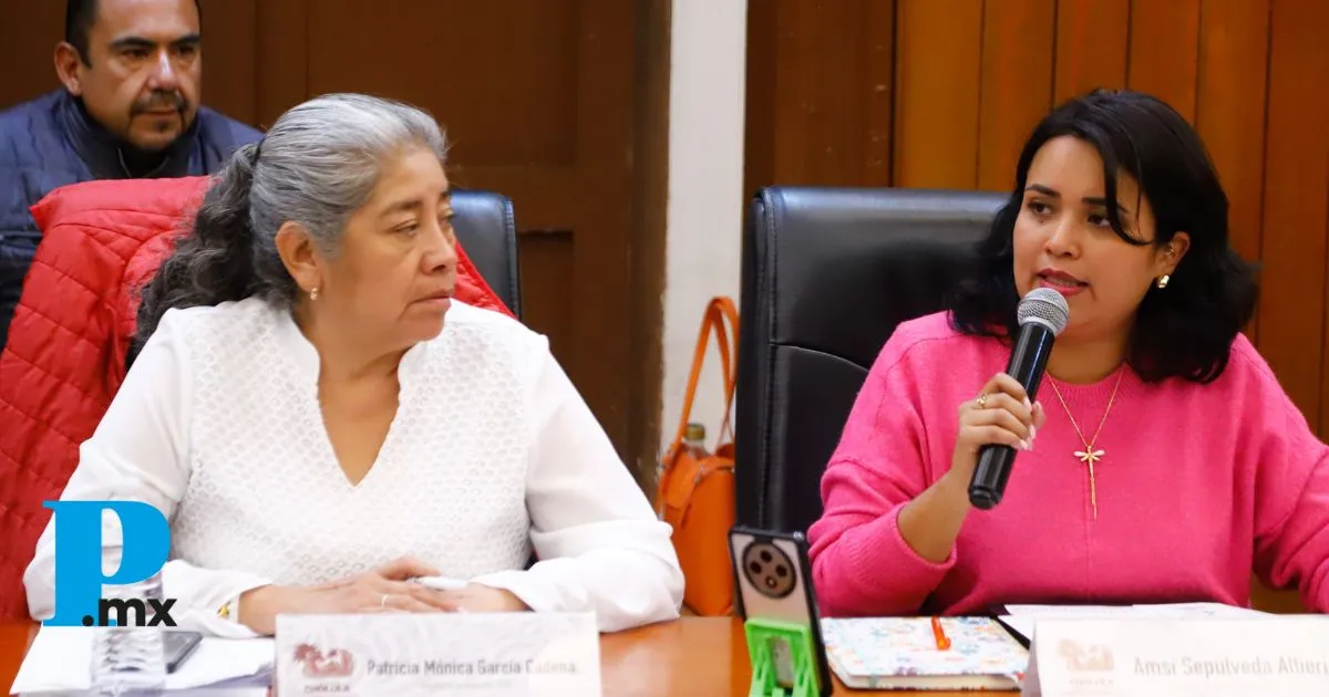 Tonantzin Fernández impulsa programa “Mujeres Heroínas” para fortalecer la economía de las jefas de familia