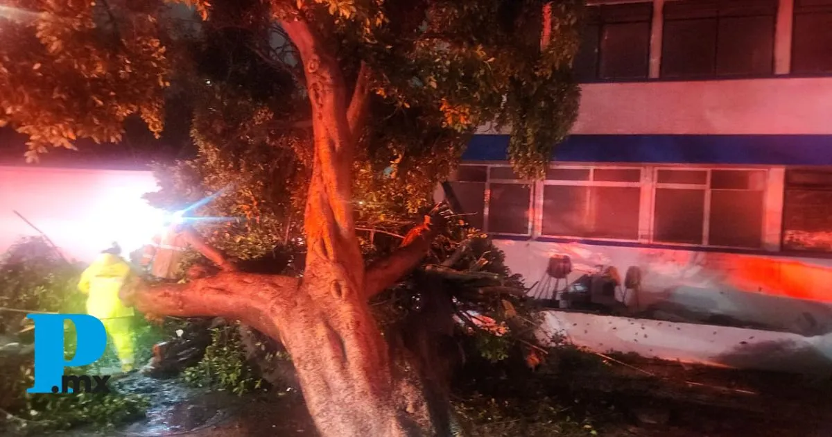 Gobierno atiende daños por lluvias en Santa Cruz Guadalupe y una escuela