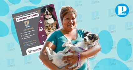 Habrá jornada de esterilización gratuita para mascotas; te decimos dónde