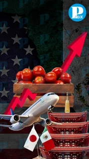 México analiza exportar tomate a Asia tras arancel del 17% impuesto por E. U.