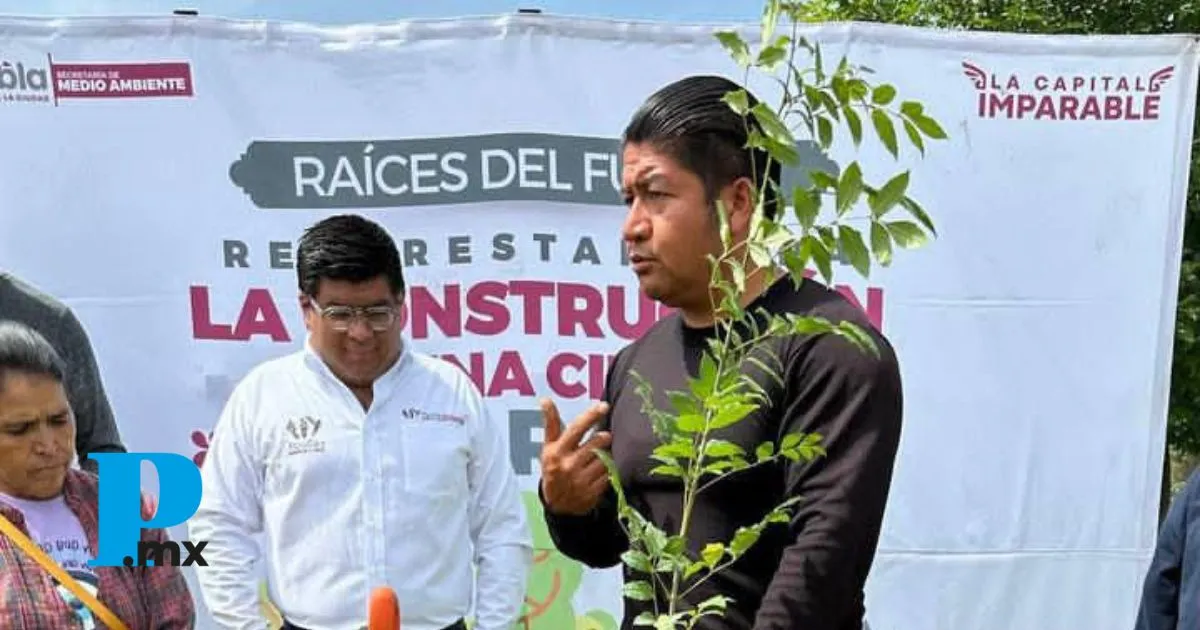 Refuerza Gobierno de la Ciudad reforestación con más de 964 árboles plantados