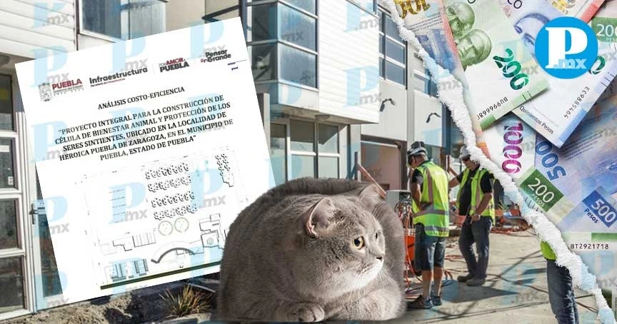 Puebla construirá el Centro de Bienestar Animal más grande de México