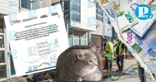 Puebla construirá el Centro de Bienestar Animal más grande de México