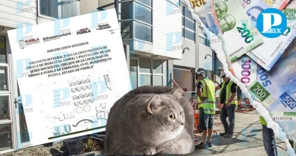Puebla construirá el Centro de Bienestar Animal más grande de México