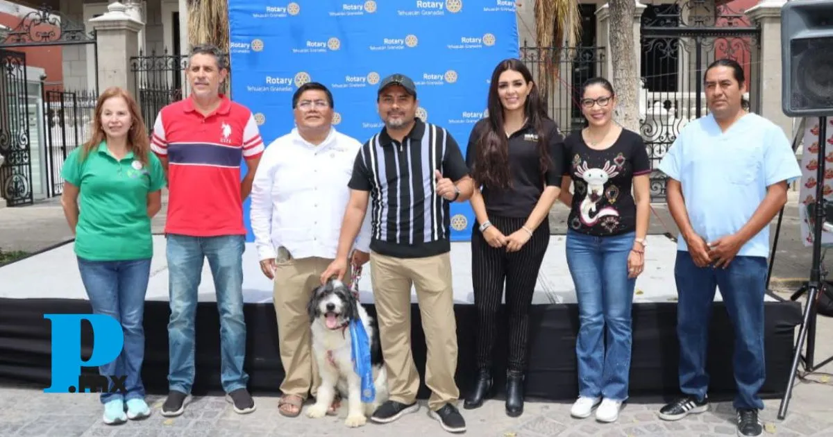 Gobierno de Tehuacán conmemora el Día Mundial del Perro Callejero y anuncia Centro Regional de Bienestar Animal