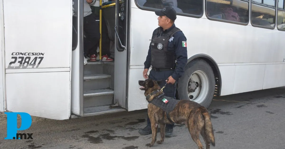 SSC implementa 974 operativos para seguridad en transporte de Puebla