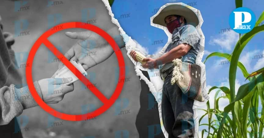  "Puebla sigue siendo un estado seguro para el campo” aseguró la funcionaria