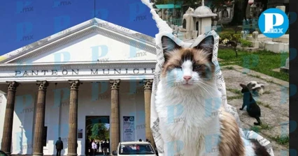La estrategia contempla la colocación de pendones para alertar a conductores y peatones sobre la presencia de fauna
