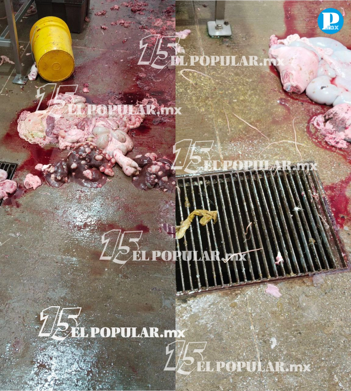 Carne con parasitos fue detectada en San Martín texmelucan