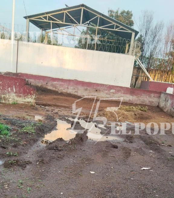 El patio del rastro, antes de la visita de la COFEPRIS, generalmente se encuentra en mal estado, con presencia de estiércol de vaca y otros animales. Está ubicado justo a un costado del huerto.