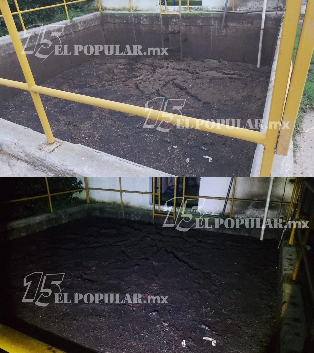 Las albercas o estanques de la planta permanecieron durante meses llenos de aguas negras. Incluso se reportaron casos en los que aves que bebían de ahí morían poco después, evidenciando el alto nivel de contaminación.