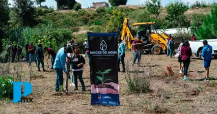 Inician jornadas de reforestación en el Cerro Zapotecas de San Pedro Cholula
