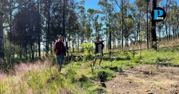 Definen zona de reforestación en el Cerro Zapotecas de San Pedro Cholula