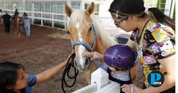 “Duvalín”, el caballo del gobernador, dará terapias a niñas y niños poblanos
