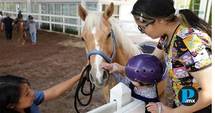 “Duvalín”, el caballo del gobernador, dará terapias a niñas y niños poblanos