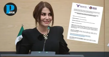 Propuesta de objeción de conciencia presentada por Nay Salvatori es inconstitucional desde 2021: SCJN