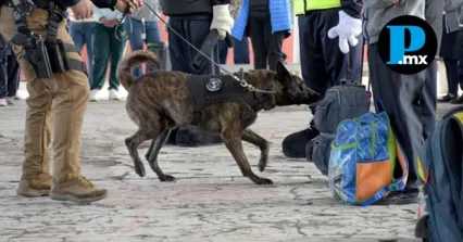 Elementos de la SSC realizan tareas de proximidad y prevención de delitos en el campus de la BUAP.