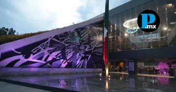 El Voluntariado del Congreso enciende el árbol, simbolizando la esperanza y la prevención en la lucha contra el cáncer de mama