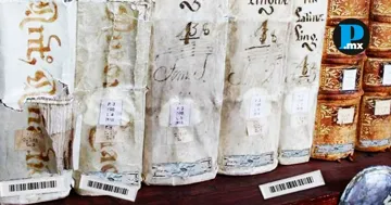Aservo cultural sufrió afectacion por la colocación de chips magneticos, autoridades investigan caso