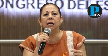 La diputada de Morena aseguró que no ordenó colocar dichos anuncios