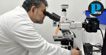 Presentan iniciativa para garantizar el libre acceso a la ciencia e investigación en el estado de Puebla