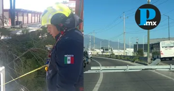 Rachas de viento de hasta 60 km/h en Puebla causan caída de árboles, ramas y señalética. Rachas de viento de hasta 60 km/h en Puebla causan caída de árboles, ramas y señalética.