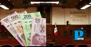 La invalidez solo será efectivaen lo que resta del año