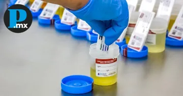 La SMT busca que el transporte en Puebla sea más seguro y confiable