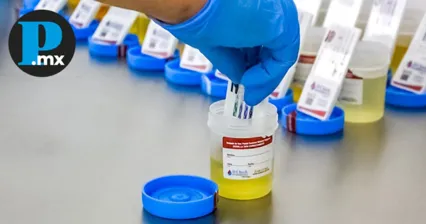 La SMT busca que el transporte en Puebla sea más seguro y confiable