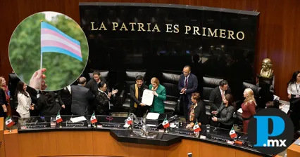 Se les impondrá una multa de hasta 120 Unidades de Medida y Actualización (UMA)