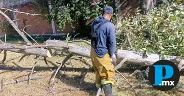 Protecci&oacute;n Civil atiende 15 reportes por r&aacute;fagas de viento en San Pedro Cholula