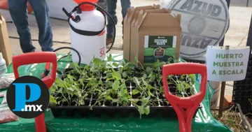 Arranca programa “Manos a la Tierra” con 100 huertos en escuelas de Puebla