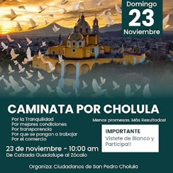 Movimiento Ciudadano Se Desmarca de la "Caminata por Cholula" para Legitimar Iniciativa Ciudadana